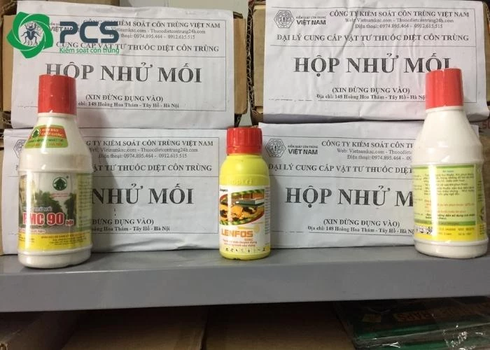 thuốc diệt mối cho đồ gỗ 